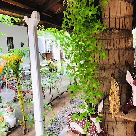 Walkers Hostel トリンコマリー エクステリア 写真