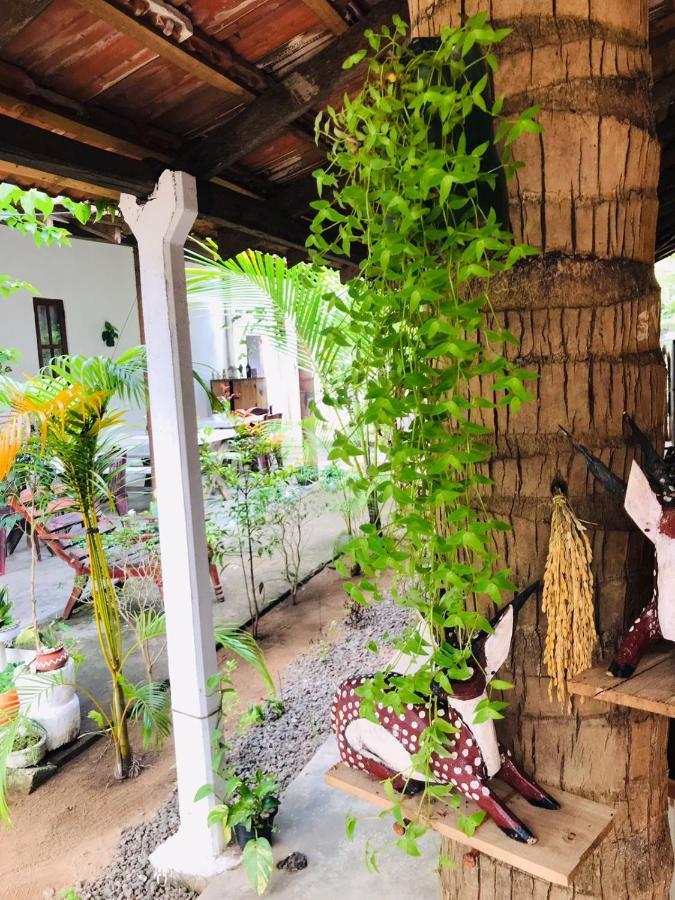 Walkers Hostel トリンコマリー エクステリア 写真