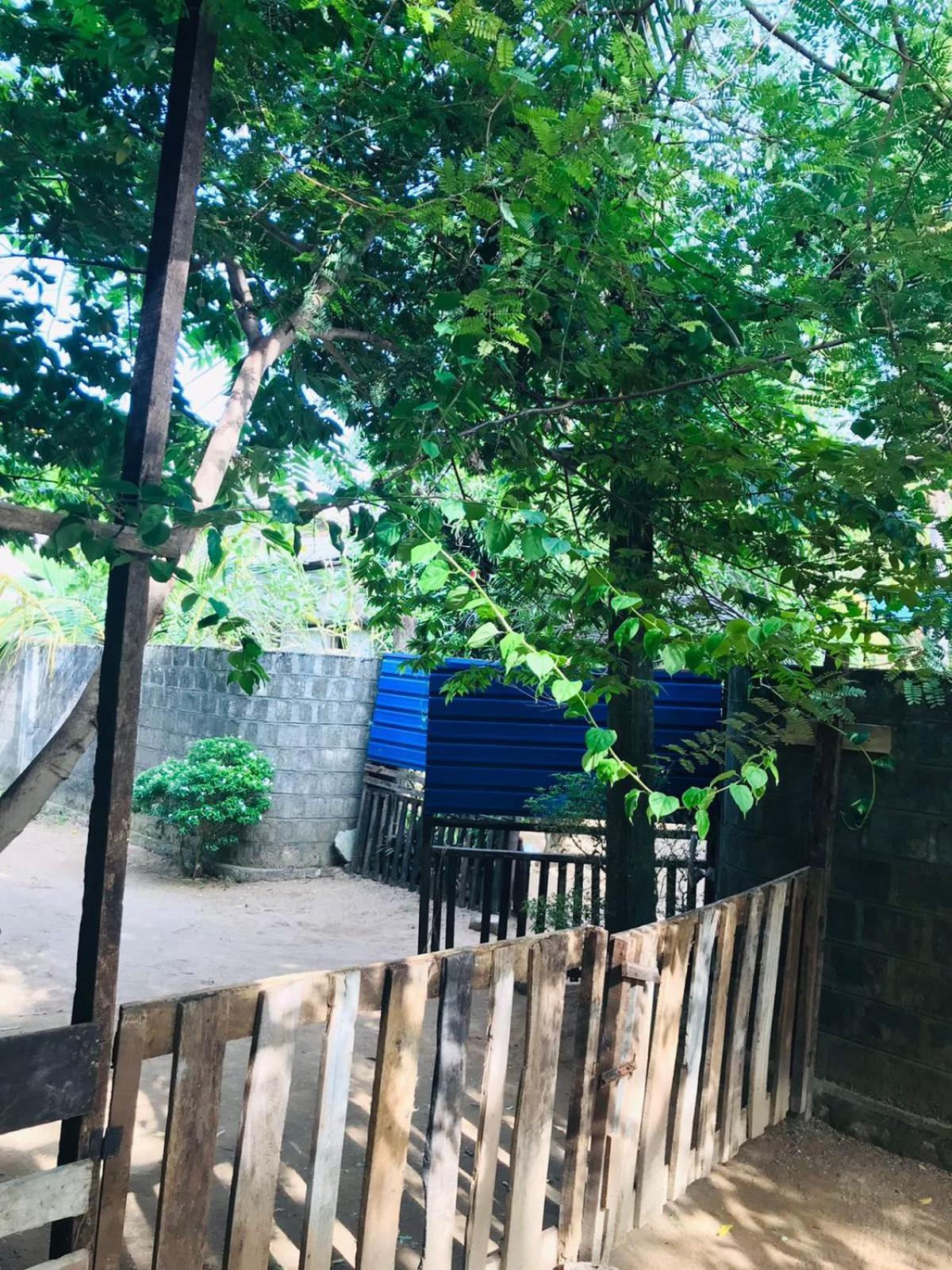 Walkers Hostel トリンコマリー エクステリア 写真